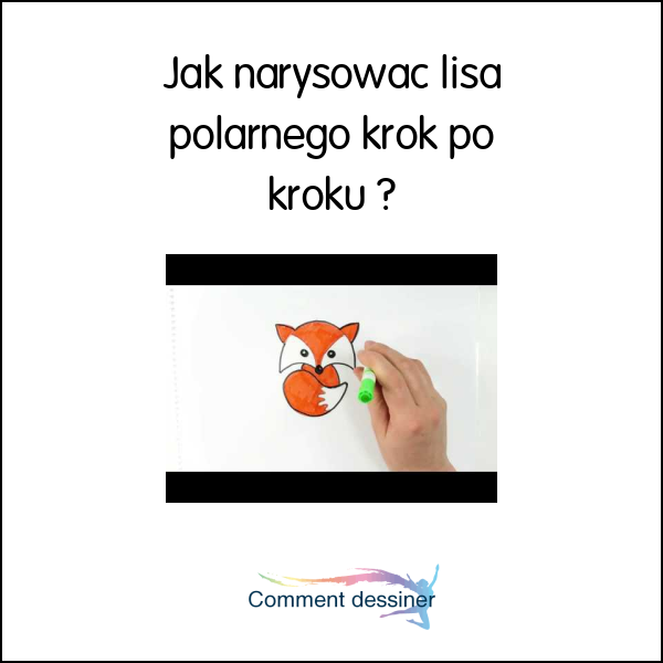 Jak narysować lisa polarnego krok po kroku Jak narysować